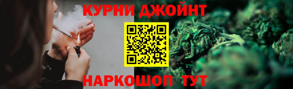 Конопля план  Каннабис планчик  Клин  Бошки марихуана SATIVA & INDICA 